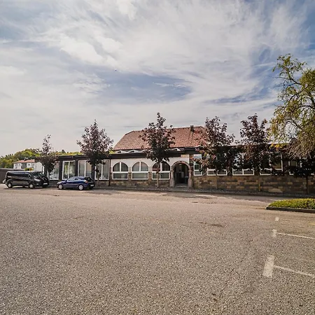 Siva Caplja Bis (Trnovska Vas)