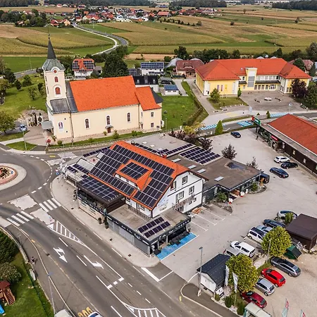 Siva Caplja Videm pri Ptuju