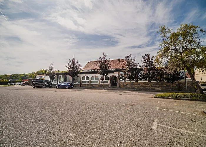 Siva Caplja Videm pri Ptuju